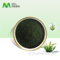 Hurtowy spirulina proszek spirulina